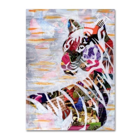 Artpoptart 'Tiger' Canvas Art,24x32